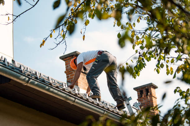 Roof Waterproofing Services in Iselin, NJ